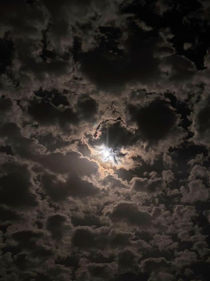 نوره عبدالرحمن